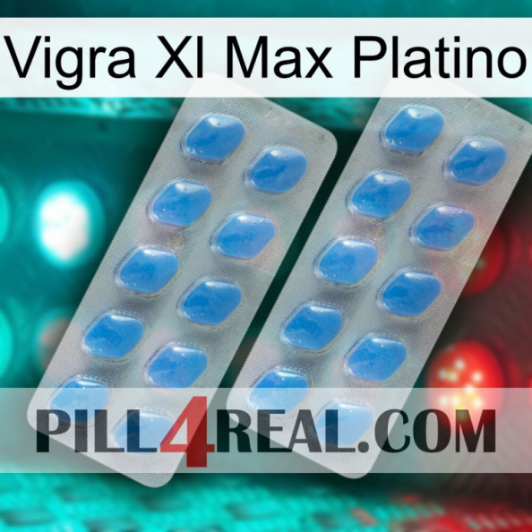 Vigra Xl Max Platinum 23.jpg